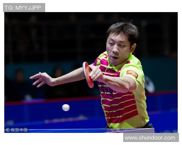 深圳排球队以61分领跑邀请赛积分榜展现强劲实力